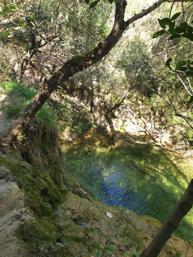 Oxpira Διαμέρισμα Palaja Εξωτερικό φωτογραφία